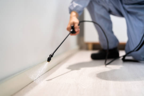 Licensed Pest Control service in Carmi, IL - Show Me Pest Control