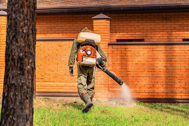 Bed Bug Clearance Verification and Documentation in Carmi